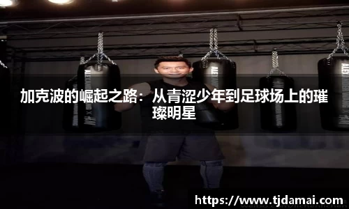 皇冠hg58体育官方网站